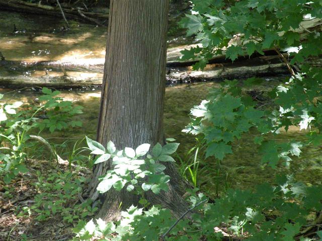 6493 Deer Path, Custer Twp, MI 49615