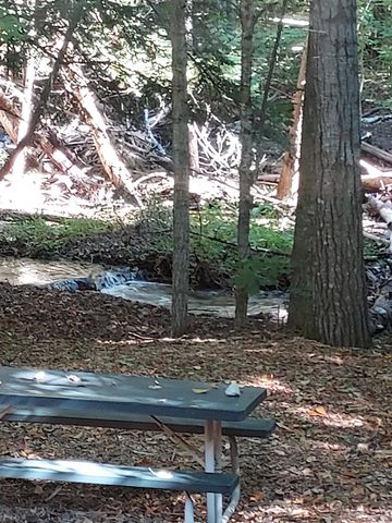 6493 Deer Path, Custer Twp, MI 49615