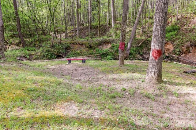 168 Robert Church Road, Ellenboro, NC 28040
