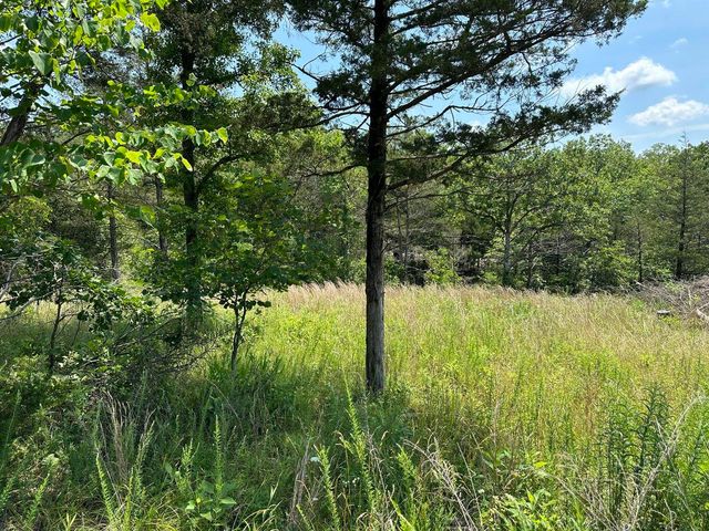 Lot 12 Tribute Falls, Cassville, MO 65625