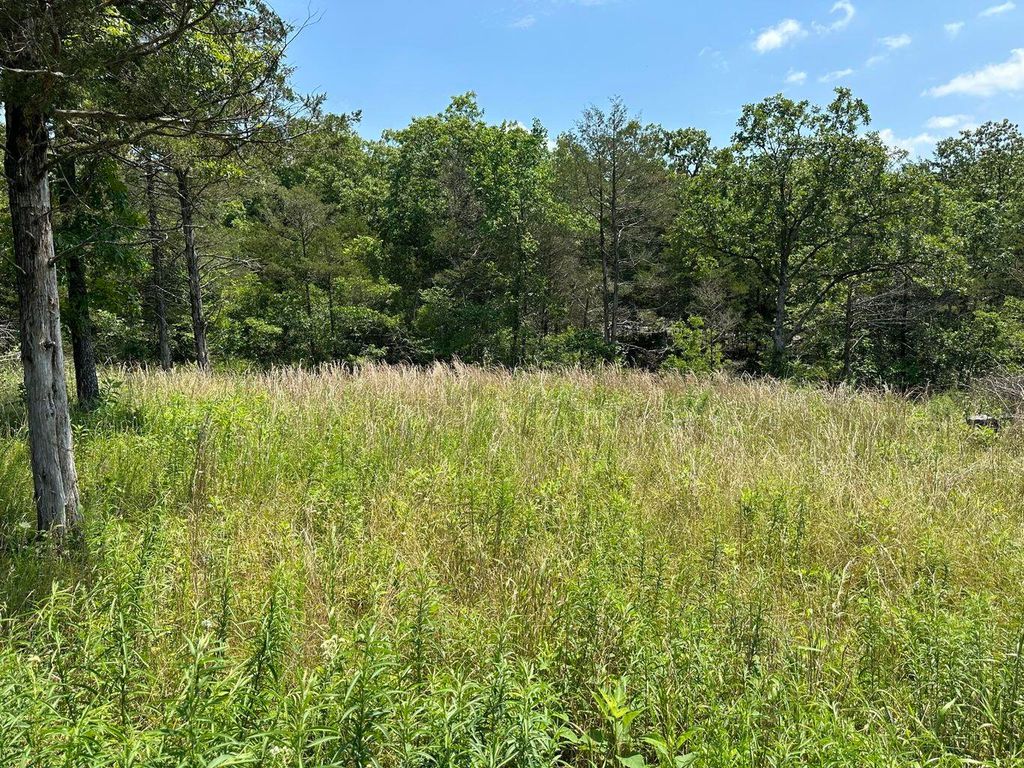 Lot 12 Tribute Falls, Cassville, MO 65625