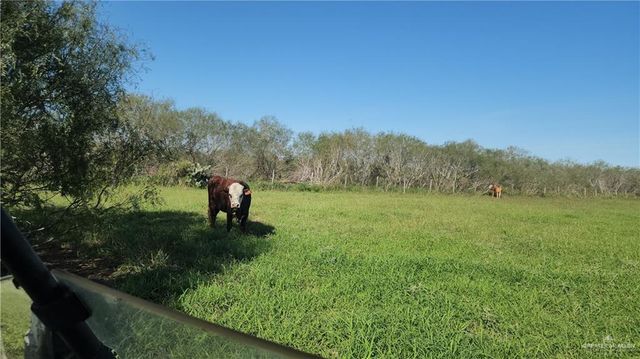 8569 Charles Green Road, Edcouch, TX 78538