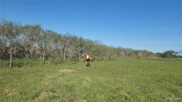 8569 Charles Green Road, Edcouch, TX 78538