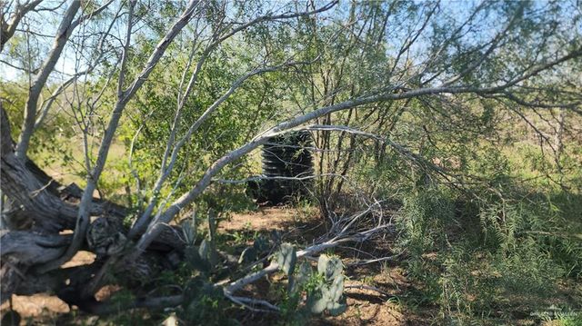 8569 Charles Green Road, Edcouch, TX 78538