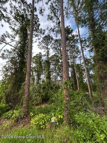 258 Krassner Drive NW, Palm Bay, FL 32907