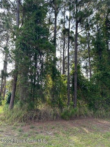 258 Krassner Drive NW, Palm Bay, FL 32907