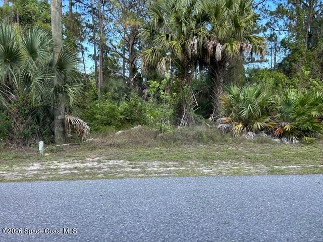 258 Krassner Drive NW, Palm Bay, FL 32907