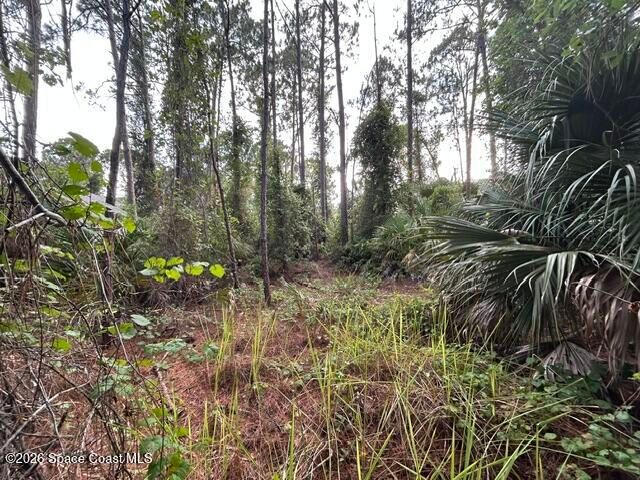 258 Krassner Drive NW, Palm Bay, FL 32907