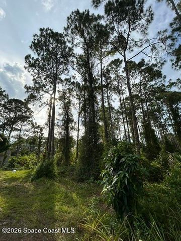 258 Krassner Drive NW, Palm Bay, FL 32907