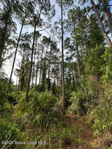 258 Krassner Drive NW, Palm Bay, FL 32907
