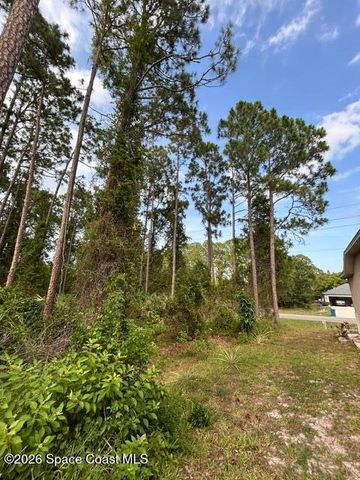 258 Krassner Drive NW, Palm Bay, FL 32907