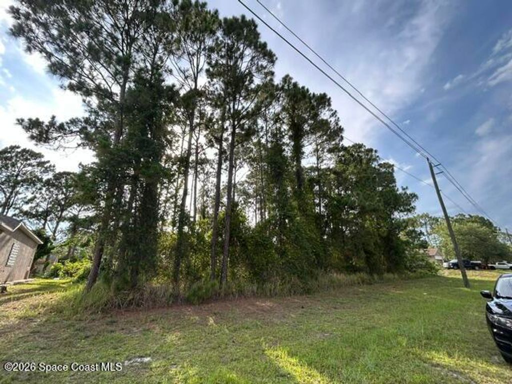 258 Krassner Drive NW, Palm Bay, FL 32907