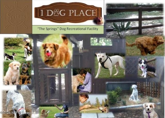 2431 CYPRESS SPRINGS Road, Orange Park, FL 32073