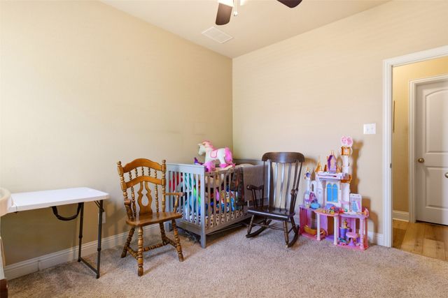 1713 Jace Drive, Mckinney, TX 75071