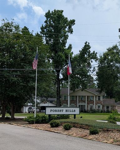 410 Brook Hollow Drive, Conroe, TX 77385