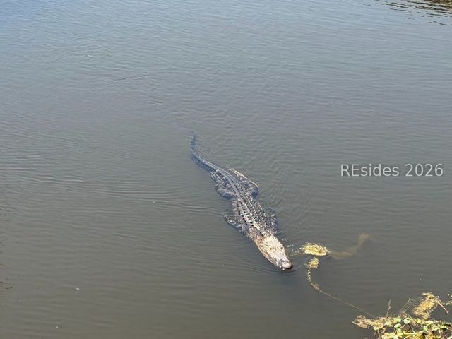 10 S Forest Beach Dr Apt 412, Hilton Head Island, SC 29928
