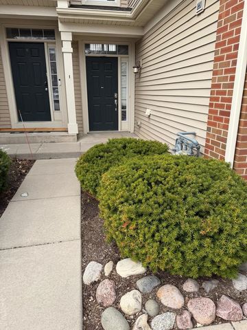 9911 Williams Drive, Huntley, IL 60142