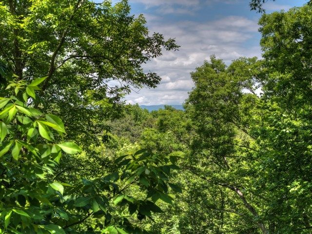 565 Catawba Circle, Ellijay, GA 30540