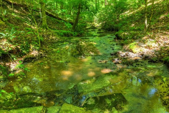 565 Catawba Circle, Ellijay, GA 30540