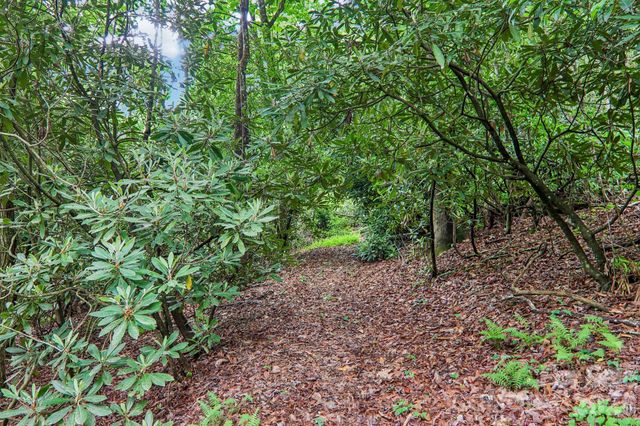 17198 Rosman Highway, Lake Toxaway, NC 28747