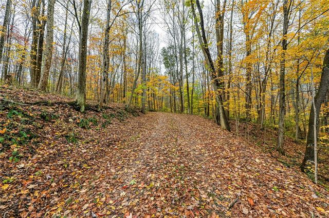 120 YOUNGSTOWN RIDGE RD, Ligonier Twp, PA 15658