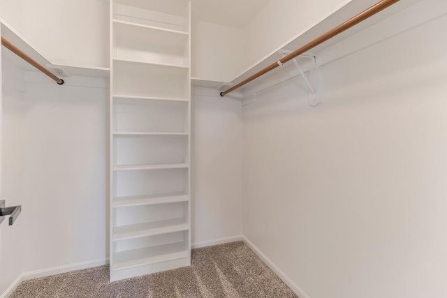 31906 E Burgess Road, Buckner, MO 64016