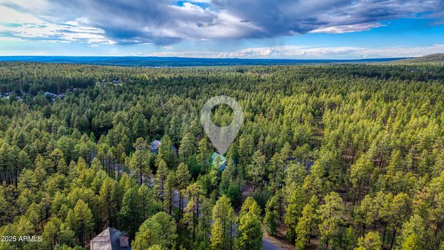 950 E Osprey Lane, Pinetop, AZ 85935