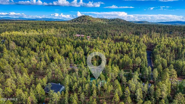 950 E Osprey Lane, Pinetop, AZ 85935