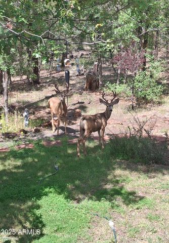 950 E Osprey Lane, Pinetop, AZ 85935