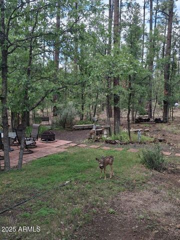 950 E Osprey Lane, Pinetop, AZ 85935