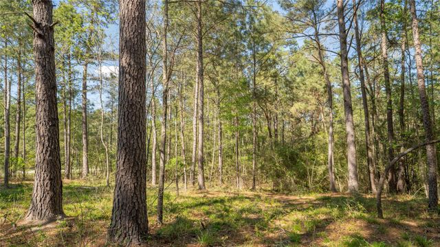 000 Bighorn Road, Huntsville, TX 77358