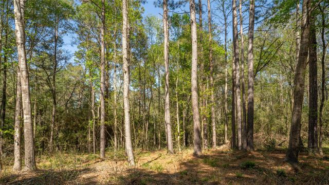 000 Bighorn Road, Huntsville, TX 77358