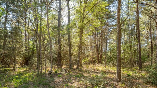 000 Bighorn Road, Huntsville, TX 77358
