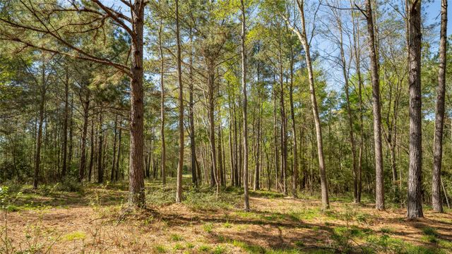 000 Bighorn Road, Huntsville, TX 77358
