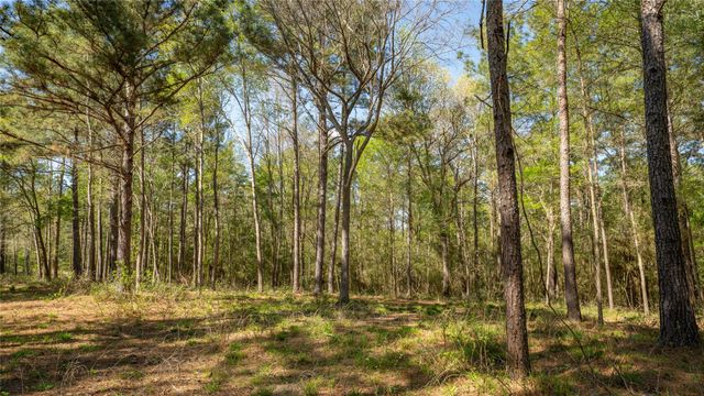 000 Bighorn Road, Huntsville, TX 77358