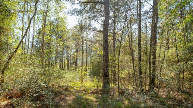 000 Bighorn Road, Huntsville, TX 77358