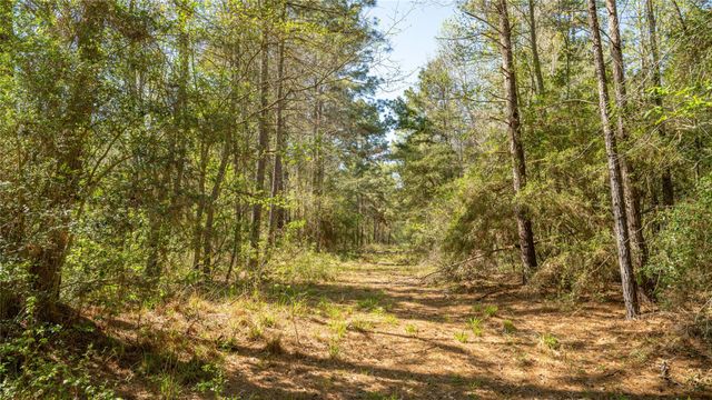000 Bighorn Road, Huntsville, TX 77358