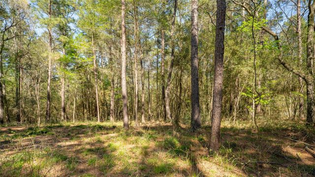 000 Bighorn Road, Huntsville, TX 77358