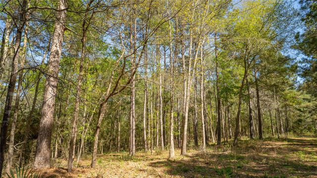 000 Bighorn Road, Huntsville, TX 77358