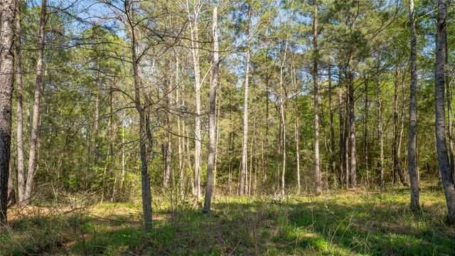 000 Bighorn Road, Huntsville, TX 77358