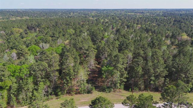 000 Bighorn Road, Huntsville, TX 77358