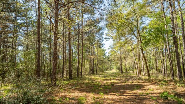000 Bighorn Road, Huntsville, TX 77358