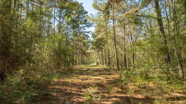 000 Bighorn Road, Huntsville, TX 77358