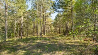 000 Bighorn Road, Huntsville, TX 77358