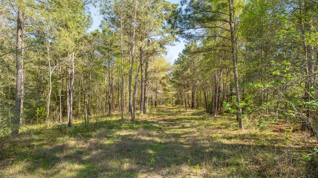 000 Bighorn Road, Huntsville, TX 77358