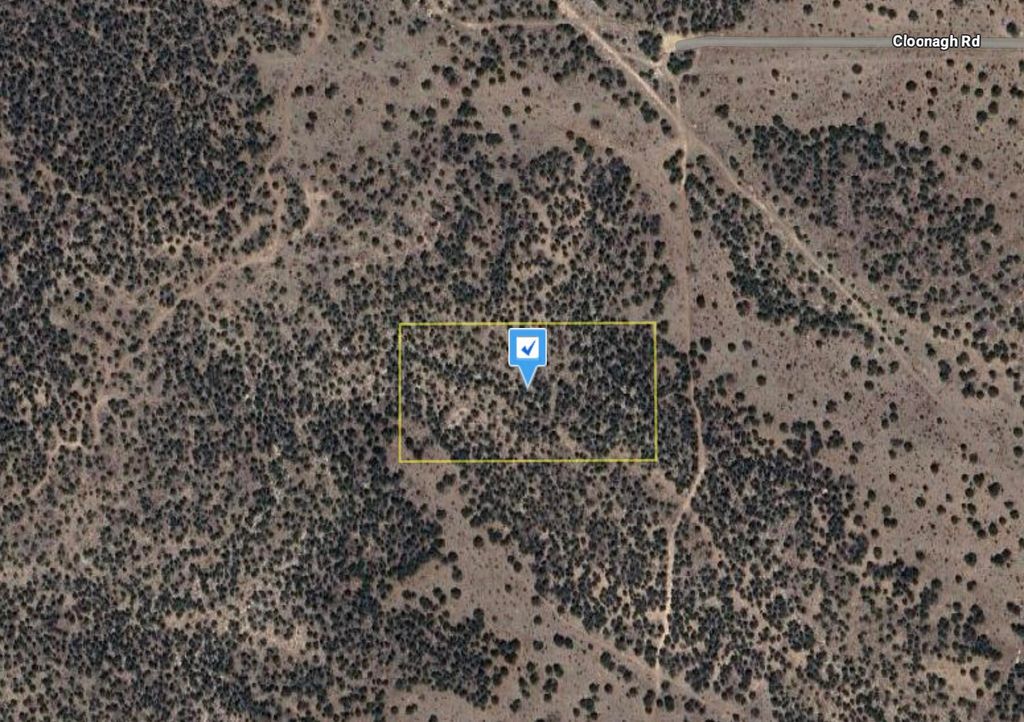 88 Cloonagh Road, Edgewood, NM 87015