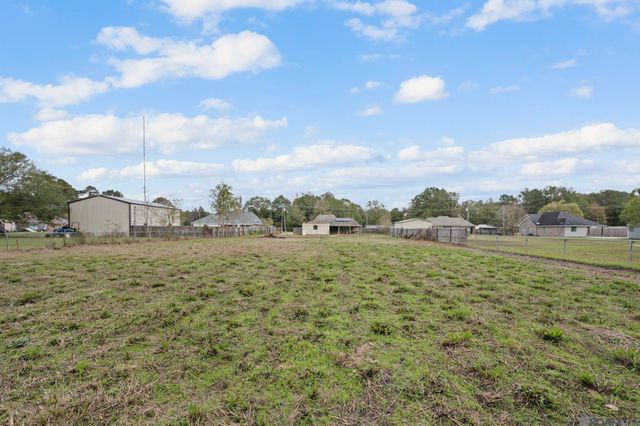 26671 Oliver Wheat Rd, Livingston, LA 70754