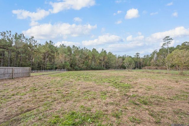26671 Oliver Wheat Rd, Livingston, LA 70754