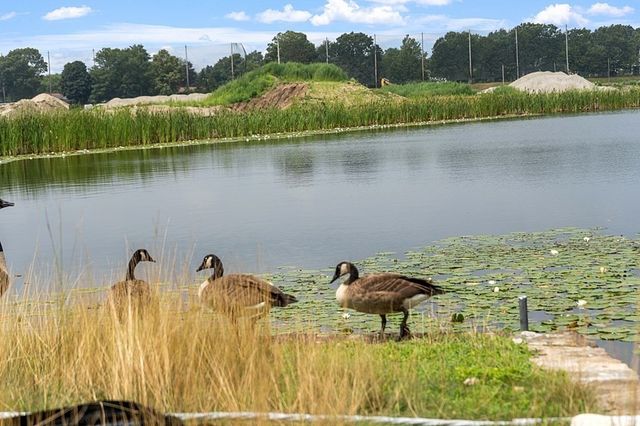 23 Palmetto Drive 23, Bellingham, MA 02019