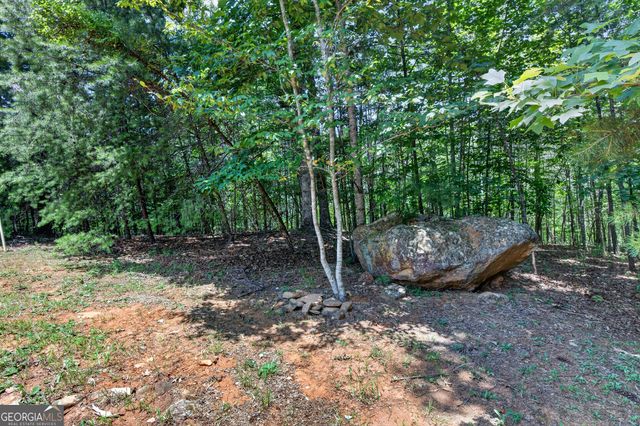 37 Gold Ditch Road, Cleveland, GA 30528